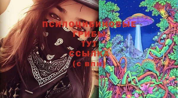 не бодяженный Абаза