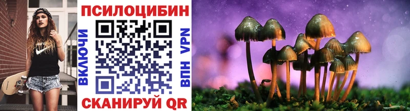 omg онион  дарнет шоп  Кемерово  Галлюциногенные грибы Psilocybe 