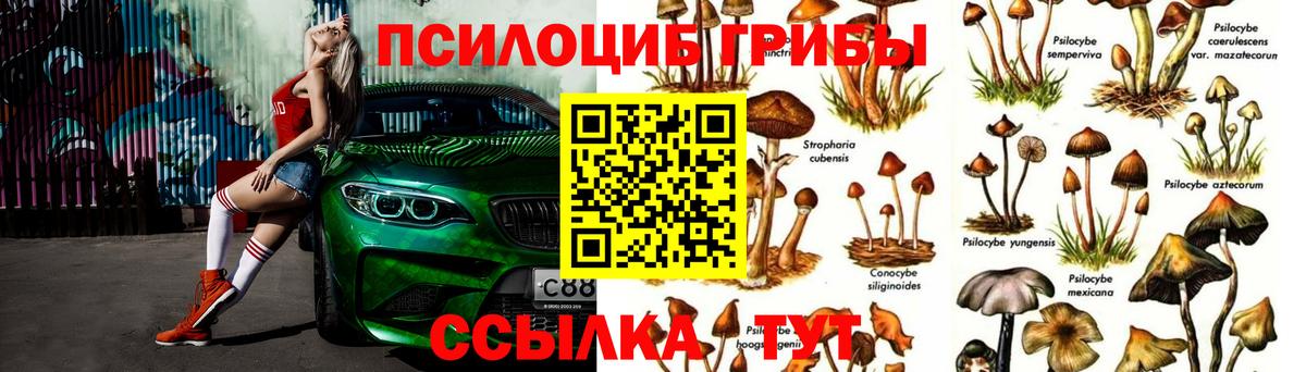 Псилоцибиновые грибы GOLDEN TEACHER Кемерово