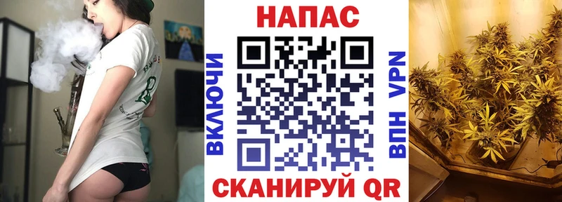 Бошки Шишки Amnesia  цена   гидра как войти  Кемерово 